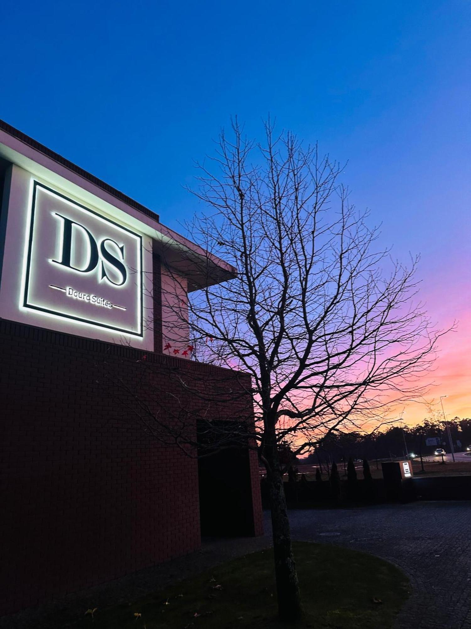 Ds Hotel Lusopark Santa Maria da Feira Exterior foto